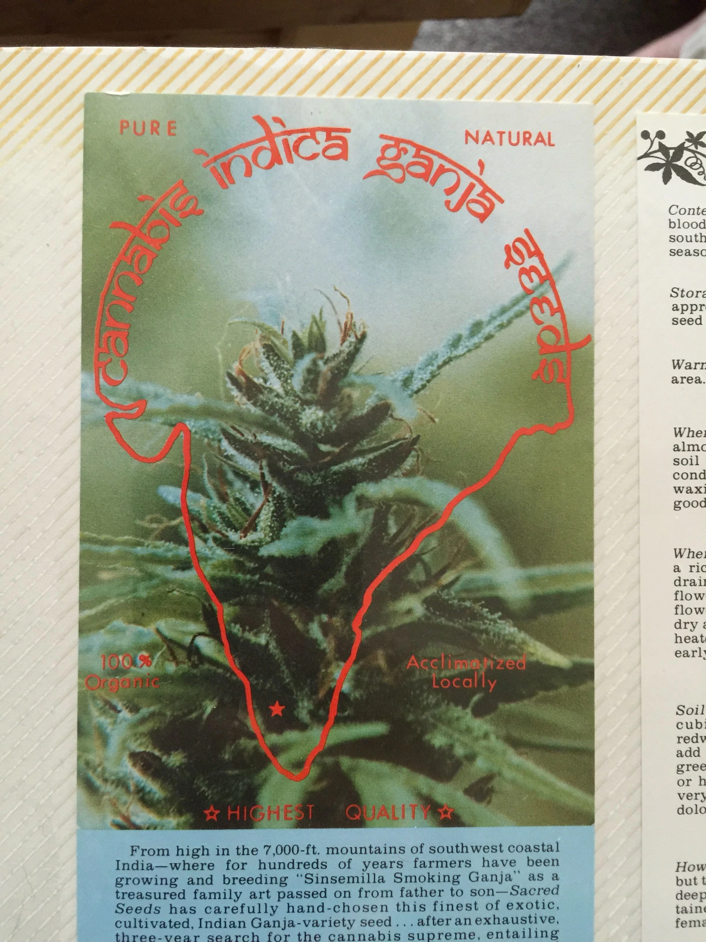 Sacred Seeds — Tarjeta/lista de ventas de semillas · página 1