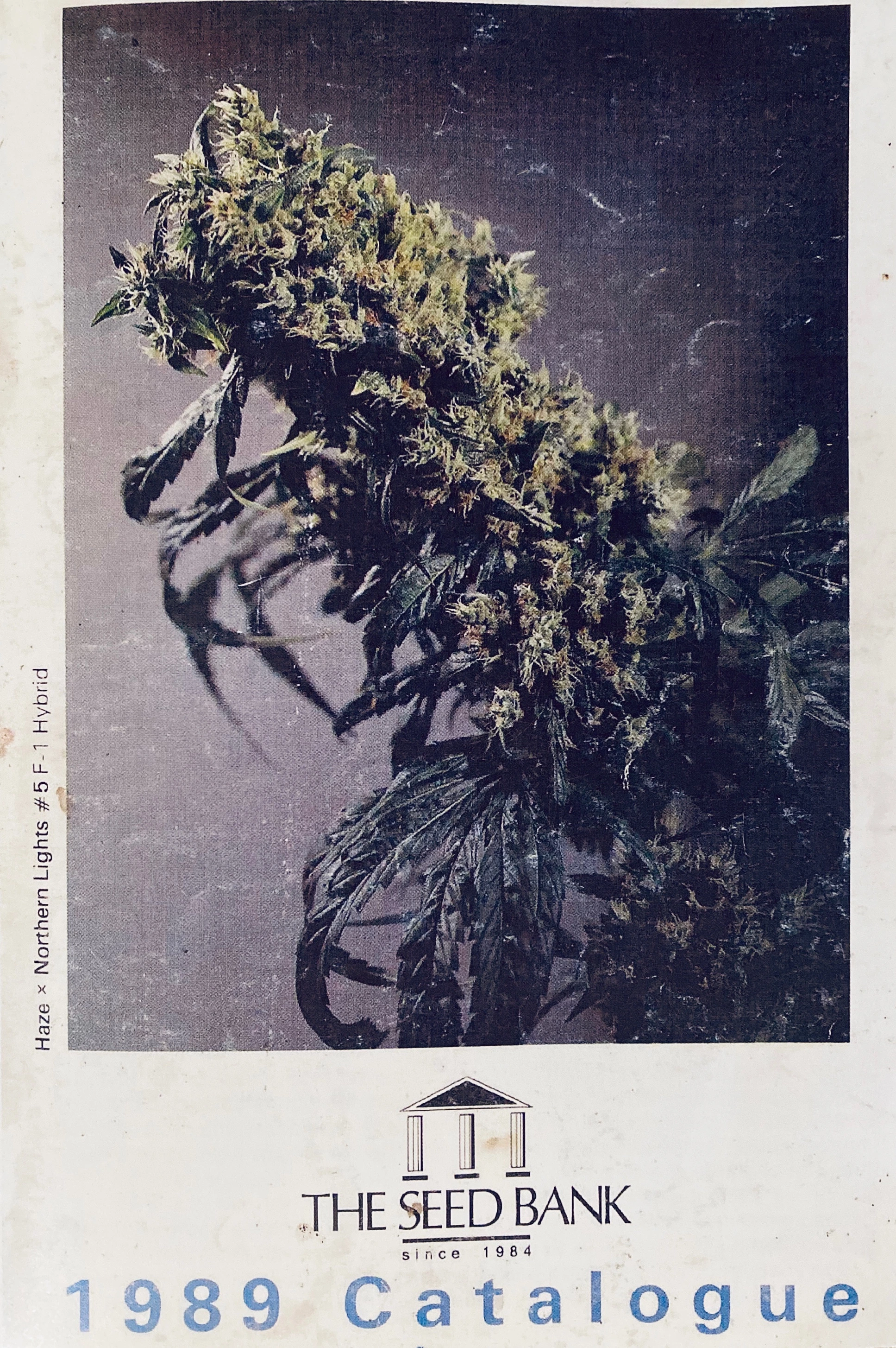 The Seed Bank — Catalogue · página 1
