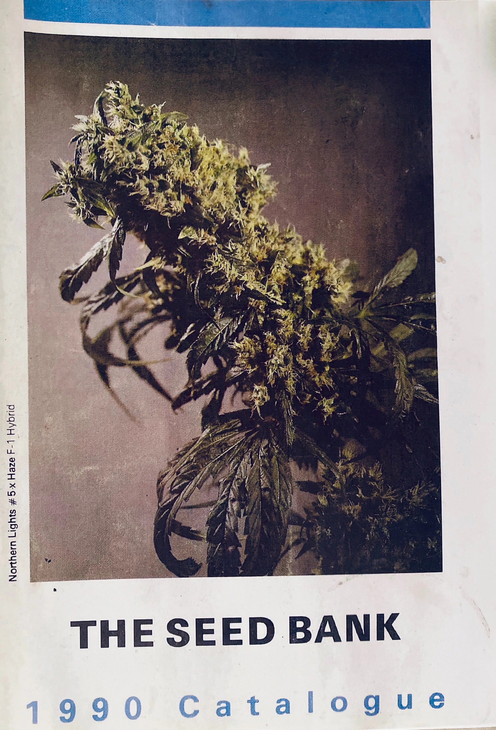 The Seed Bank — Seed Catalog · página 1