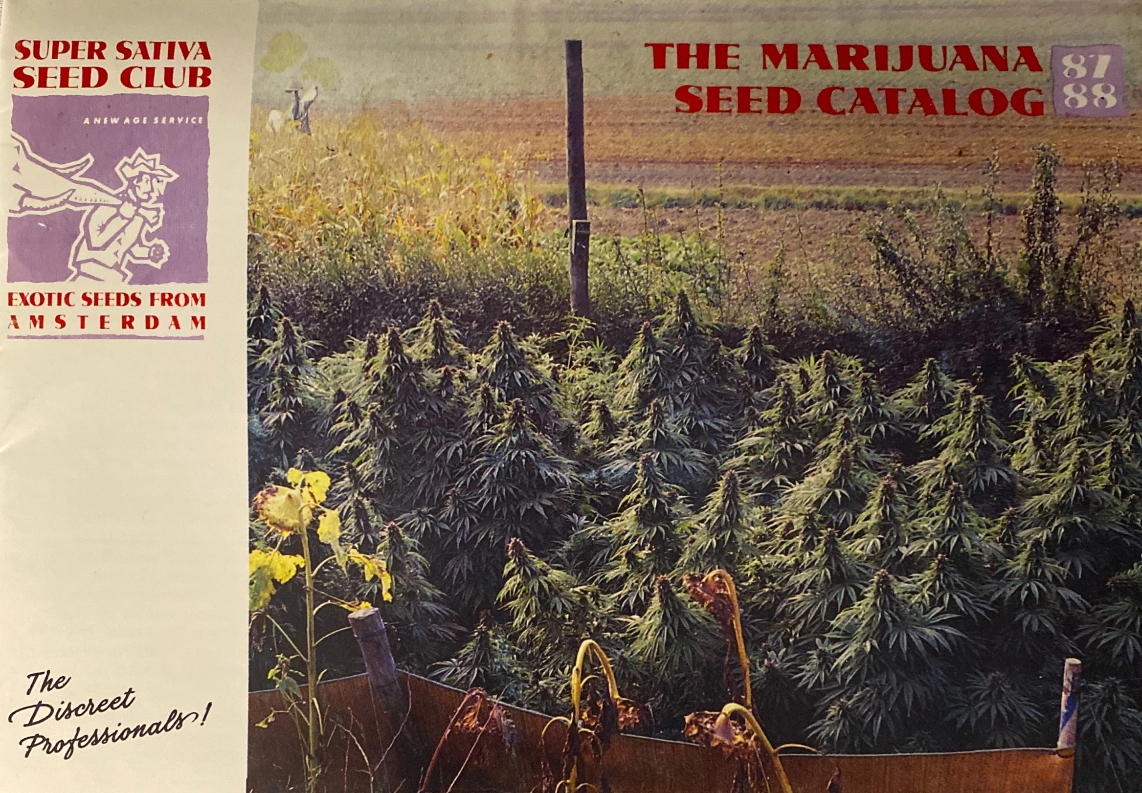 Super Sativa Seed Club — Seed Catalog (1987–88) · página 1