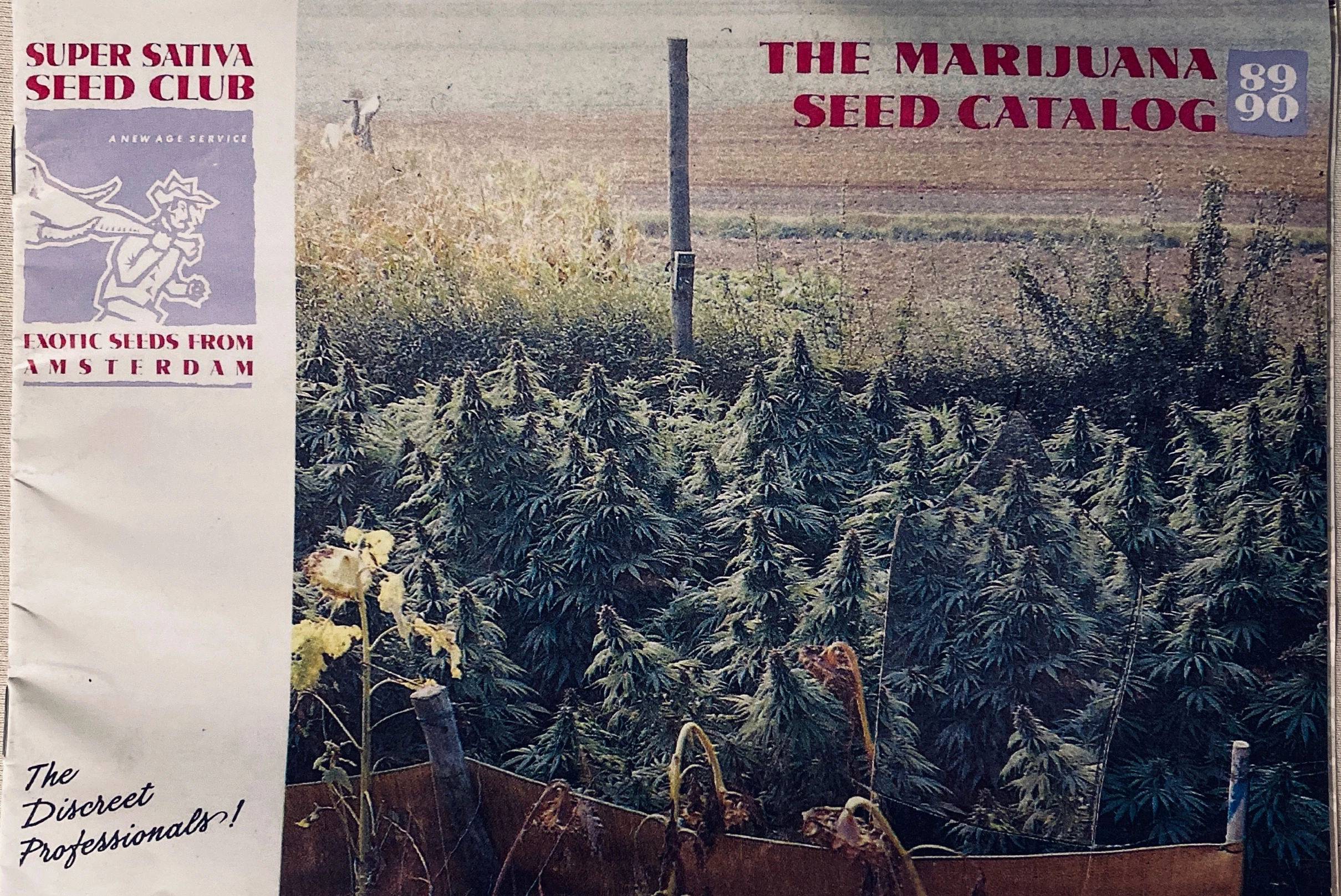 Super Sativa Seed Club — Seed Catalog (1988–89) · página 1