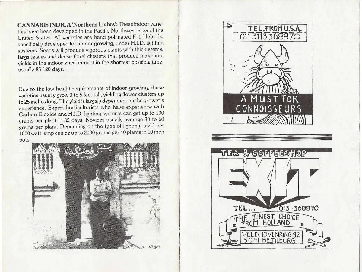 Sensi Seeds / Sensi Seed Club — Sensi Seed Club 1987 — página interior Northern Lights / Tea & Coffee Shop EXIT · página 1
