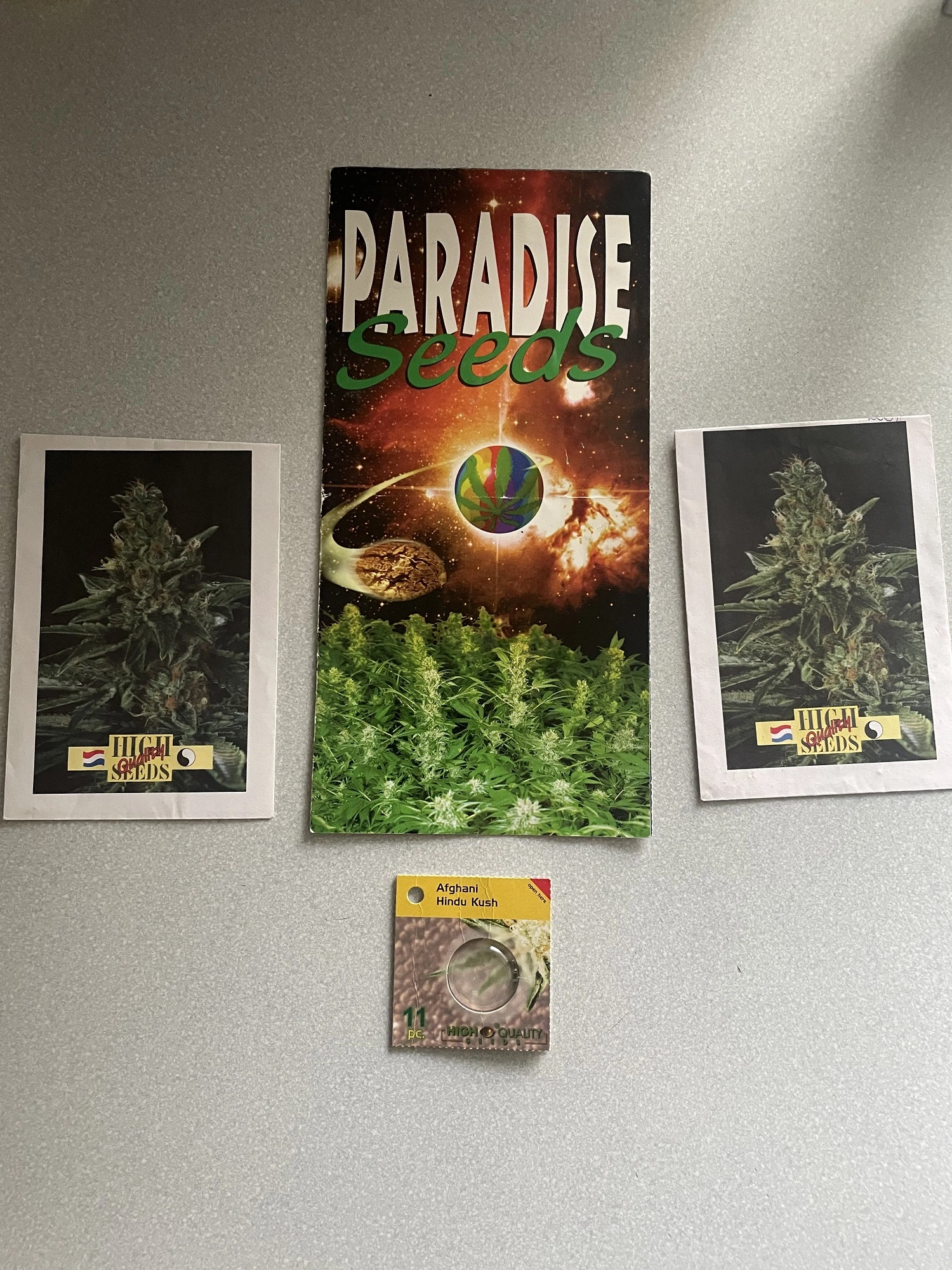 Paradise Seeds — Catalogue / folleto desplegable · página 1