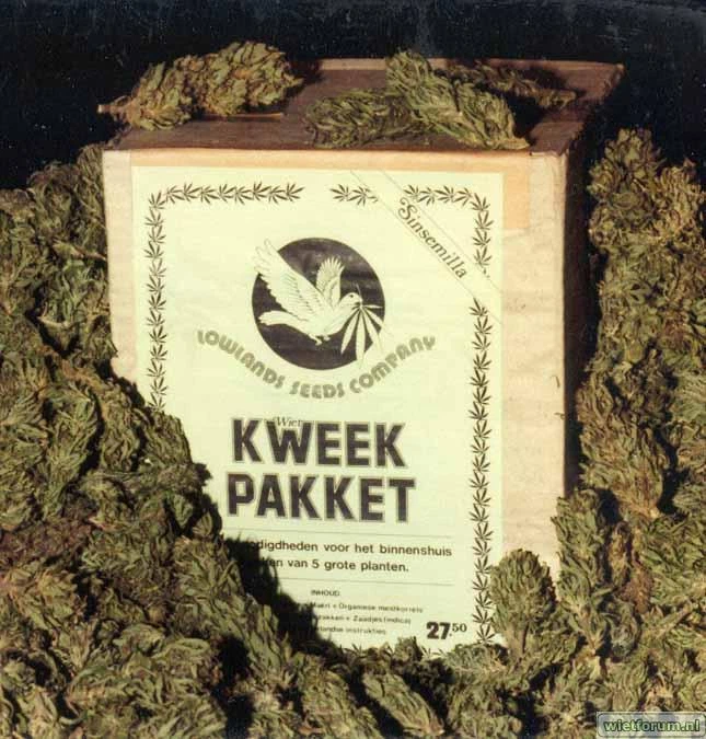 Lowland Seed Company — Listas / packs de semillas · página 1