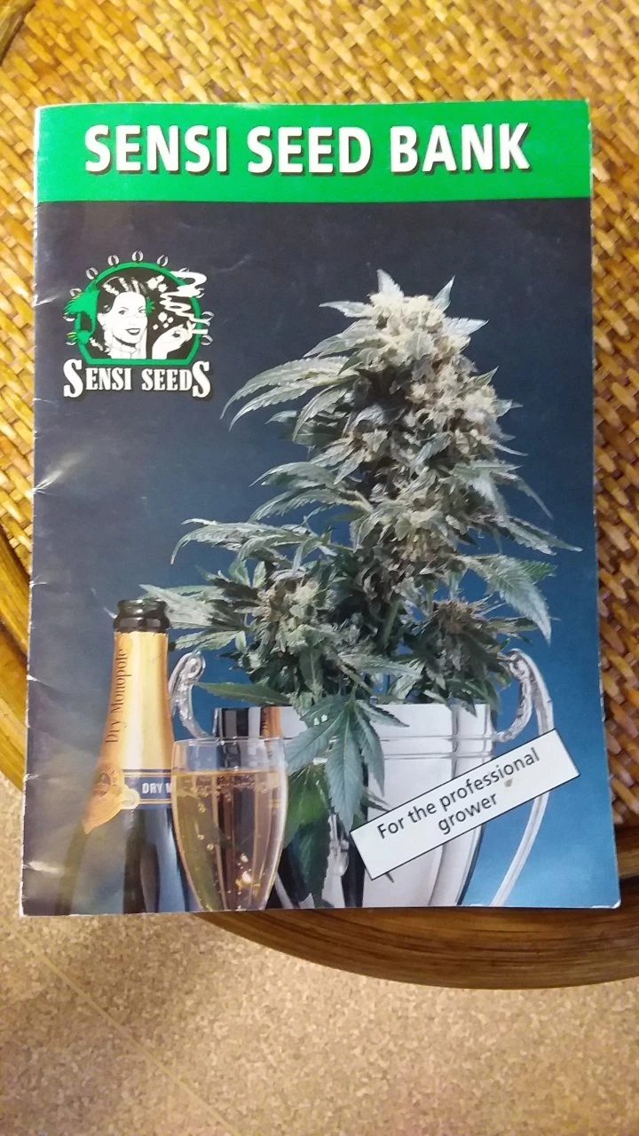 Sensi Seeds / Sensi Seed Bank — Sensi Seed Bank — catálogo físico de principios de los 90 · página 1