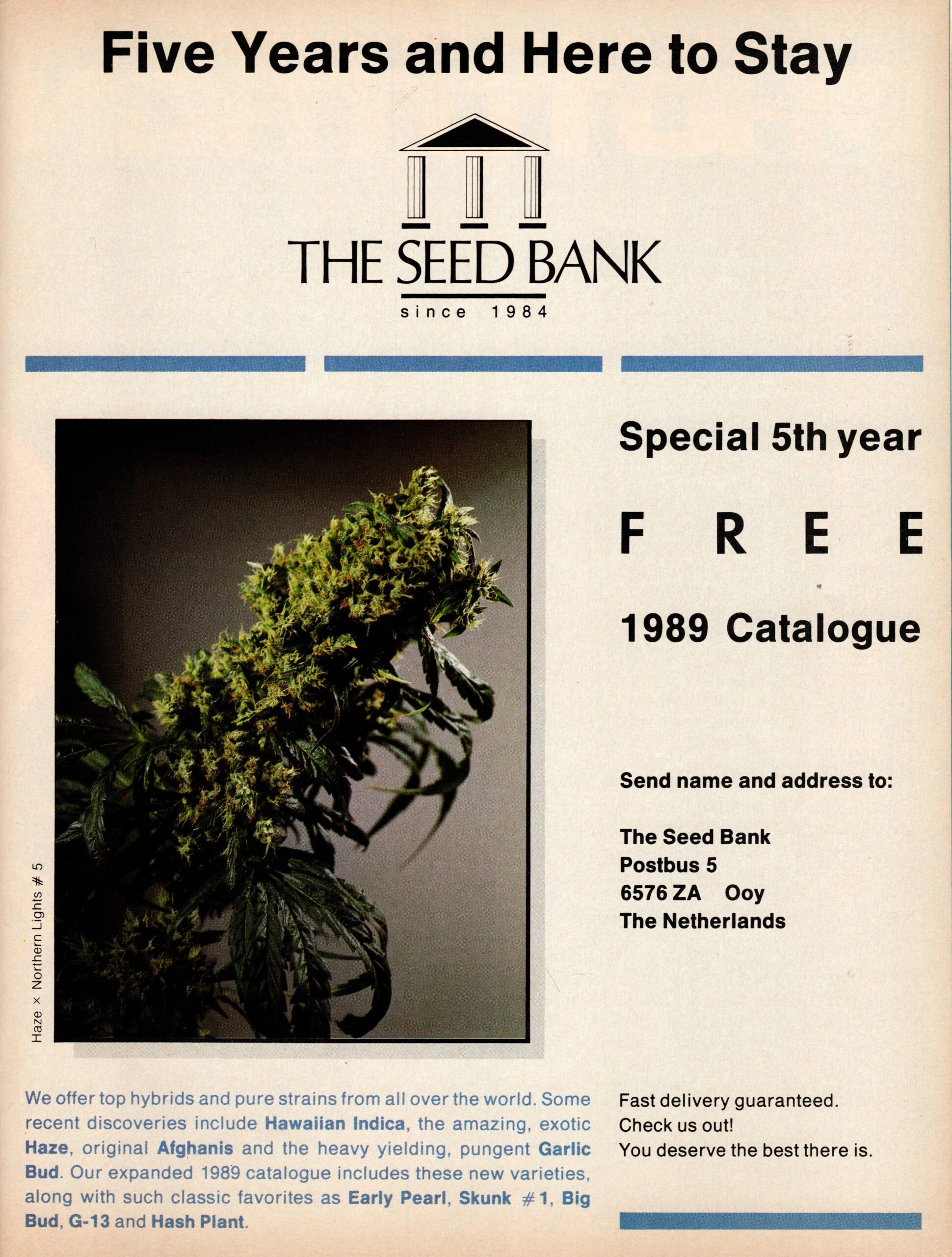 The Seed Bank — Anuncio de The Seed Bank — High Times Julio 1989 · página 1