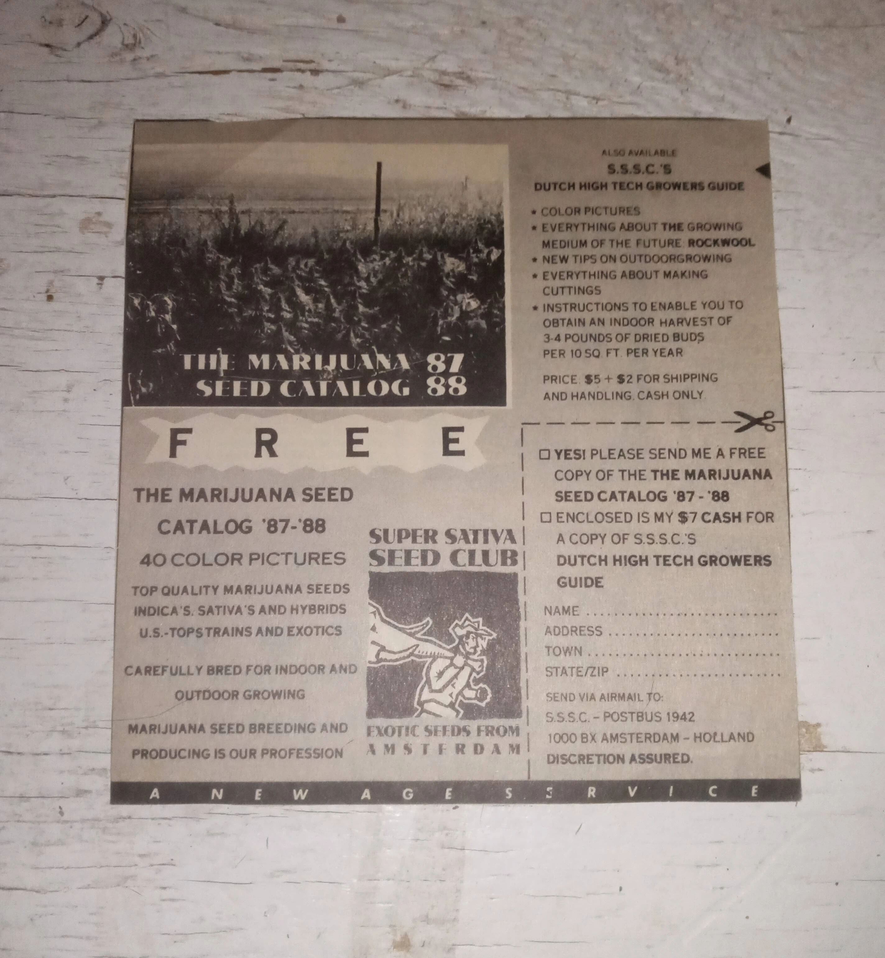 Super Sativa Seed Club — Formulario de solicitud del catálogo SSSC 1987–88 recortado de High Times · página 1