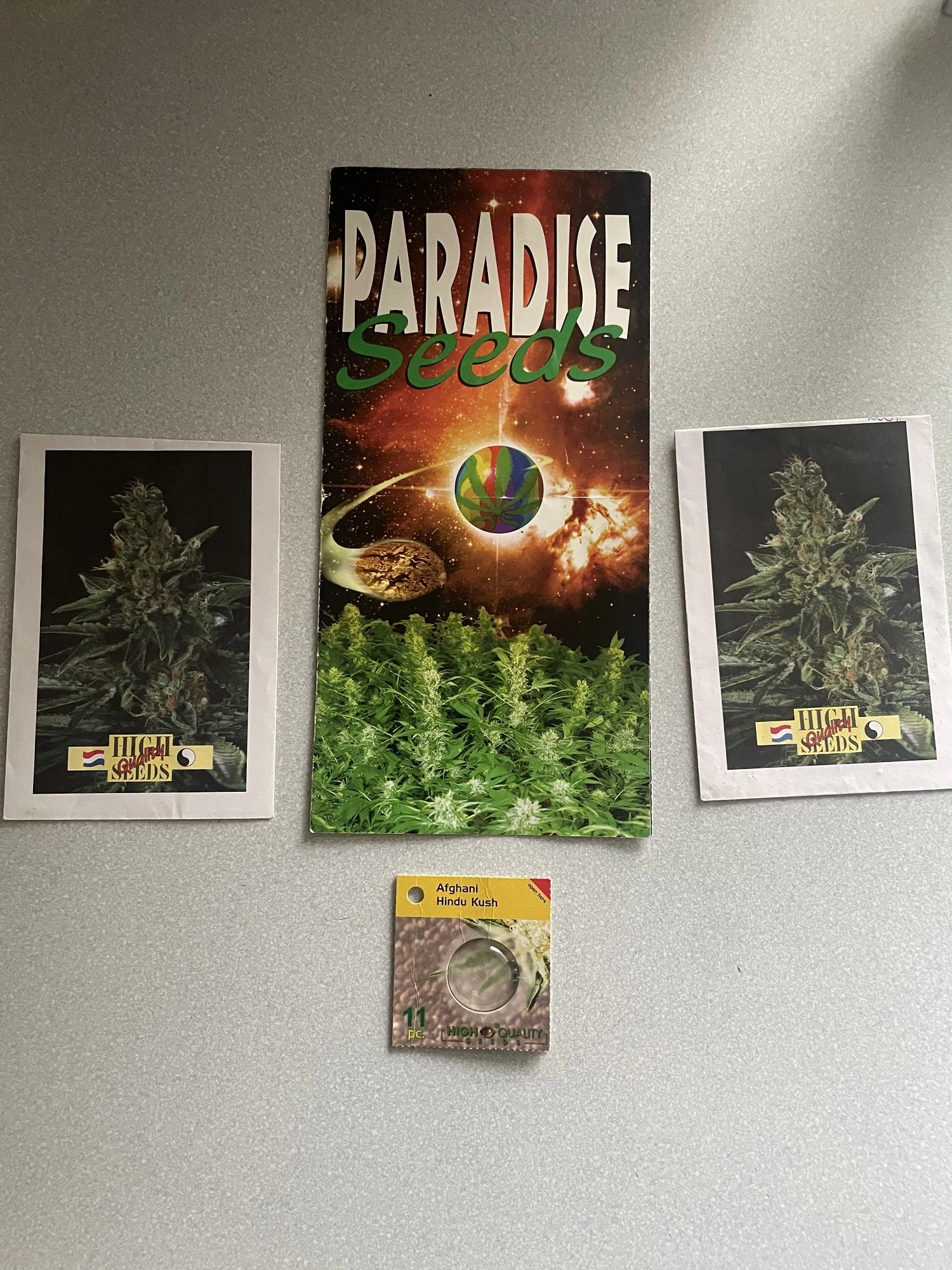 High Quality Seeds — Catálogo histórico High Quality Seeds · página 1